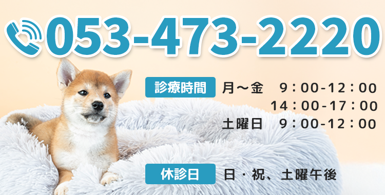 【電話番号】053-473-2220【診療時間】月～金：9:00～12:00、14:00～17:00土：9:00～12:00【休業日】日・祝、土曜午後