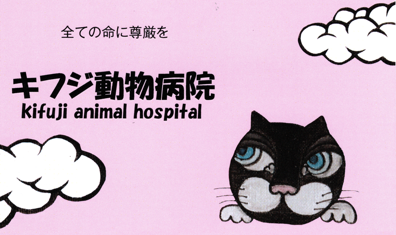 キフジ動物病院