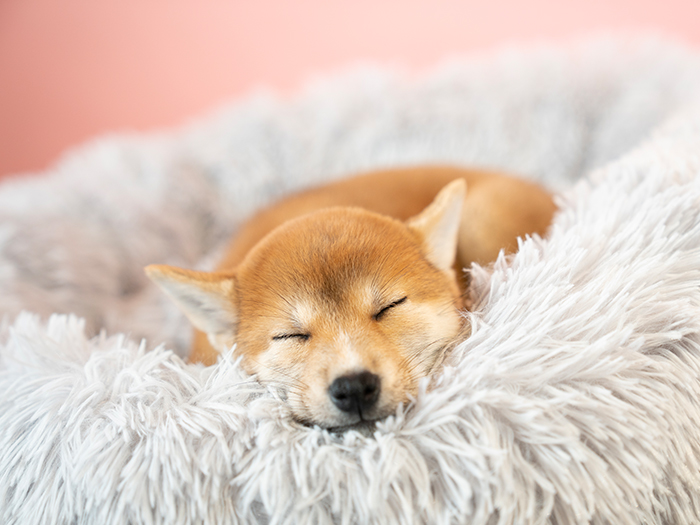 地域の皆さまに寄り添う病院として
