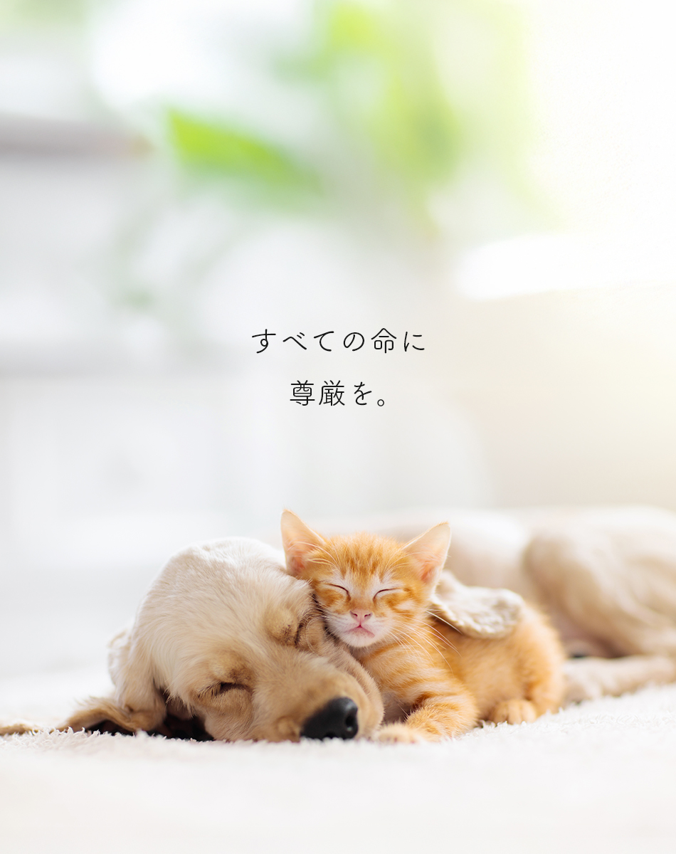 キフジ動物病院 すべての命に尊厳を